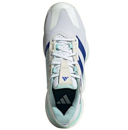 ASICS バレーボールシューズ 21.5cm 楽天市場】デサント レディース（シューズ｜バレーボール