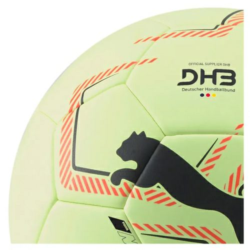 フィジーライト