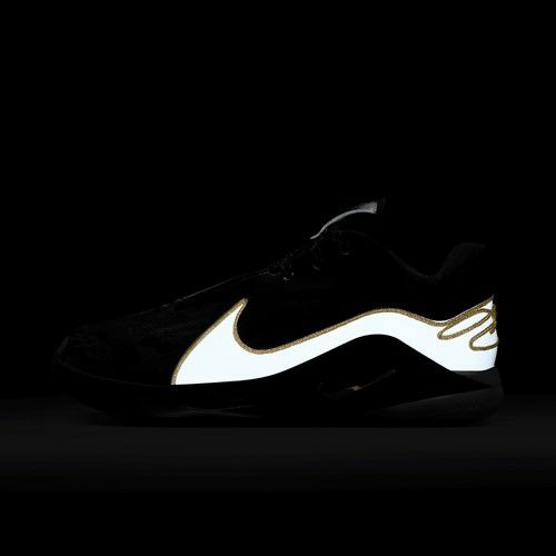 ナイキ レブロン 22 Mr.Mogul ホワイト メタリックゴールド 2025