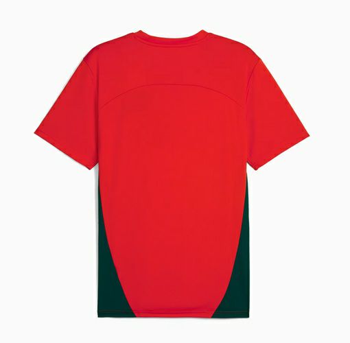 プーマ FCレッドブル ザルツブルグ トレーニングジャージ メンズ 24/25