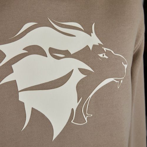 ラインネッカーレーヴェン ライオンヘッド