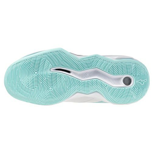 ミズノ ウエーブ モーメンタム プロ ホワイト ブルーティント レディース 2025